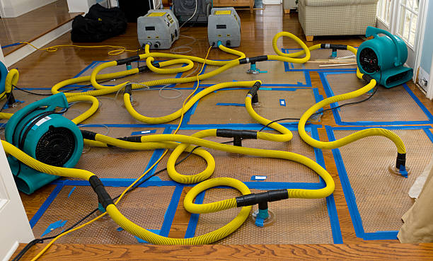 Professional Sewage Cleanup technician working in New Richmond, WI